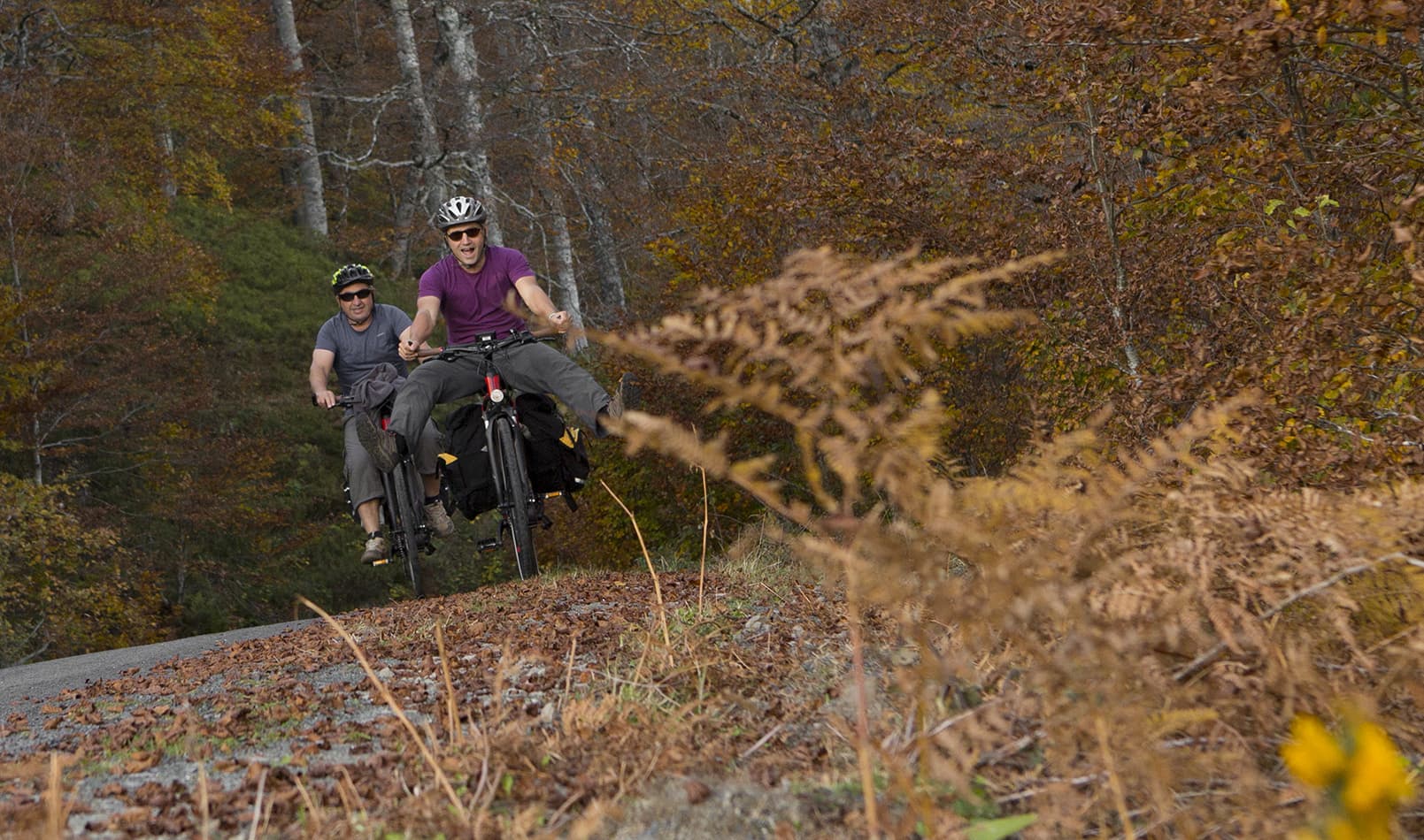 foret-iraty-soule-velo