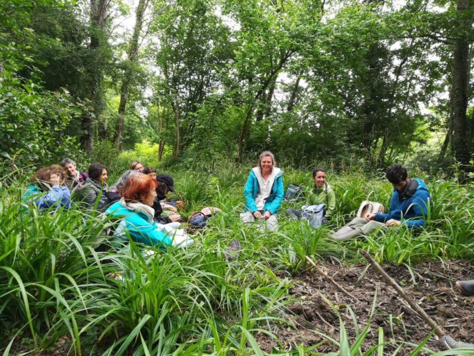 formation adulte plantes sauvages
