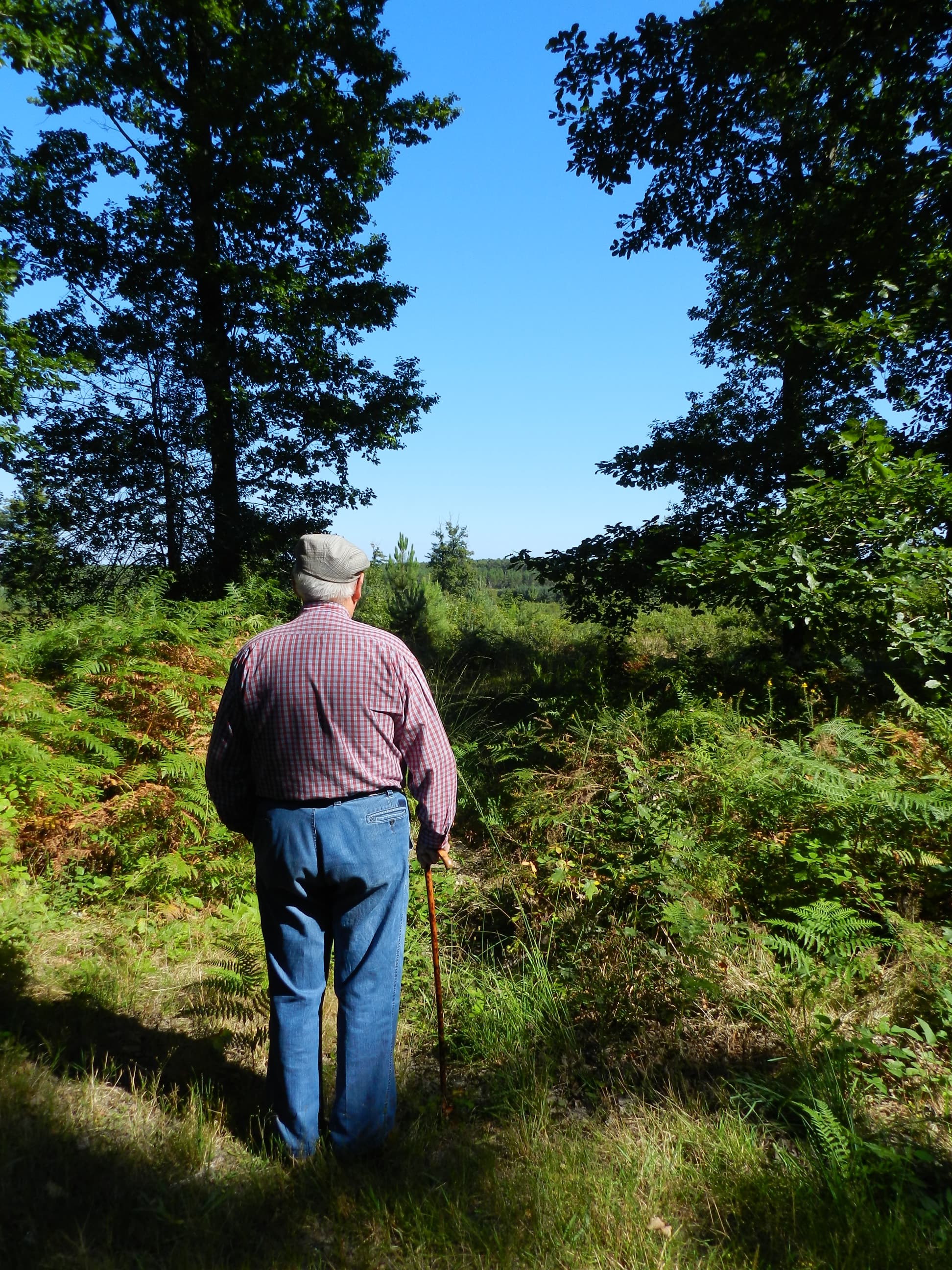 Forêt domaniale de Moulière_2