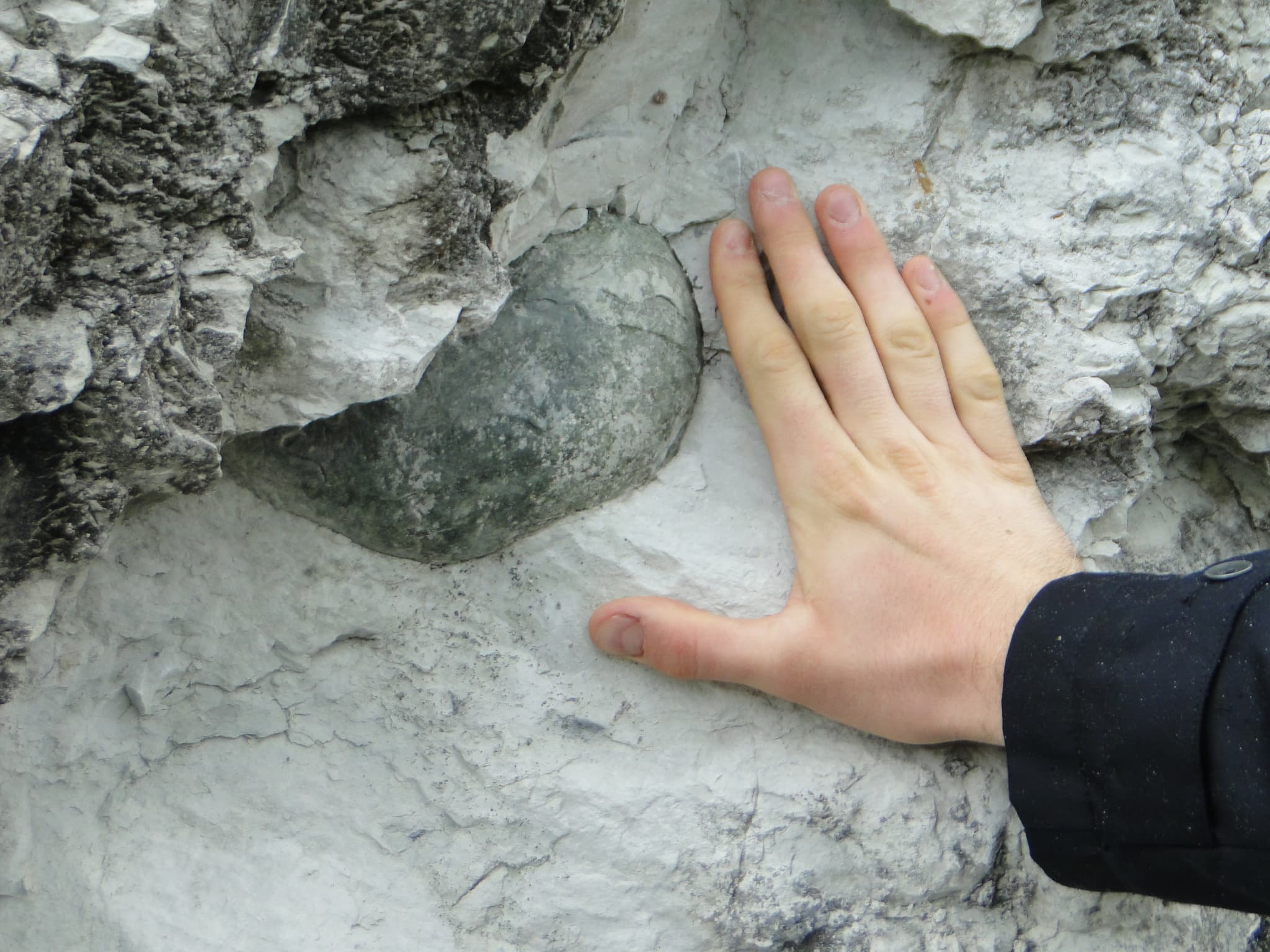 fossile_nautile_RNRgTercis