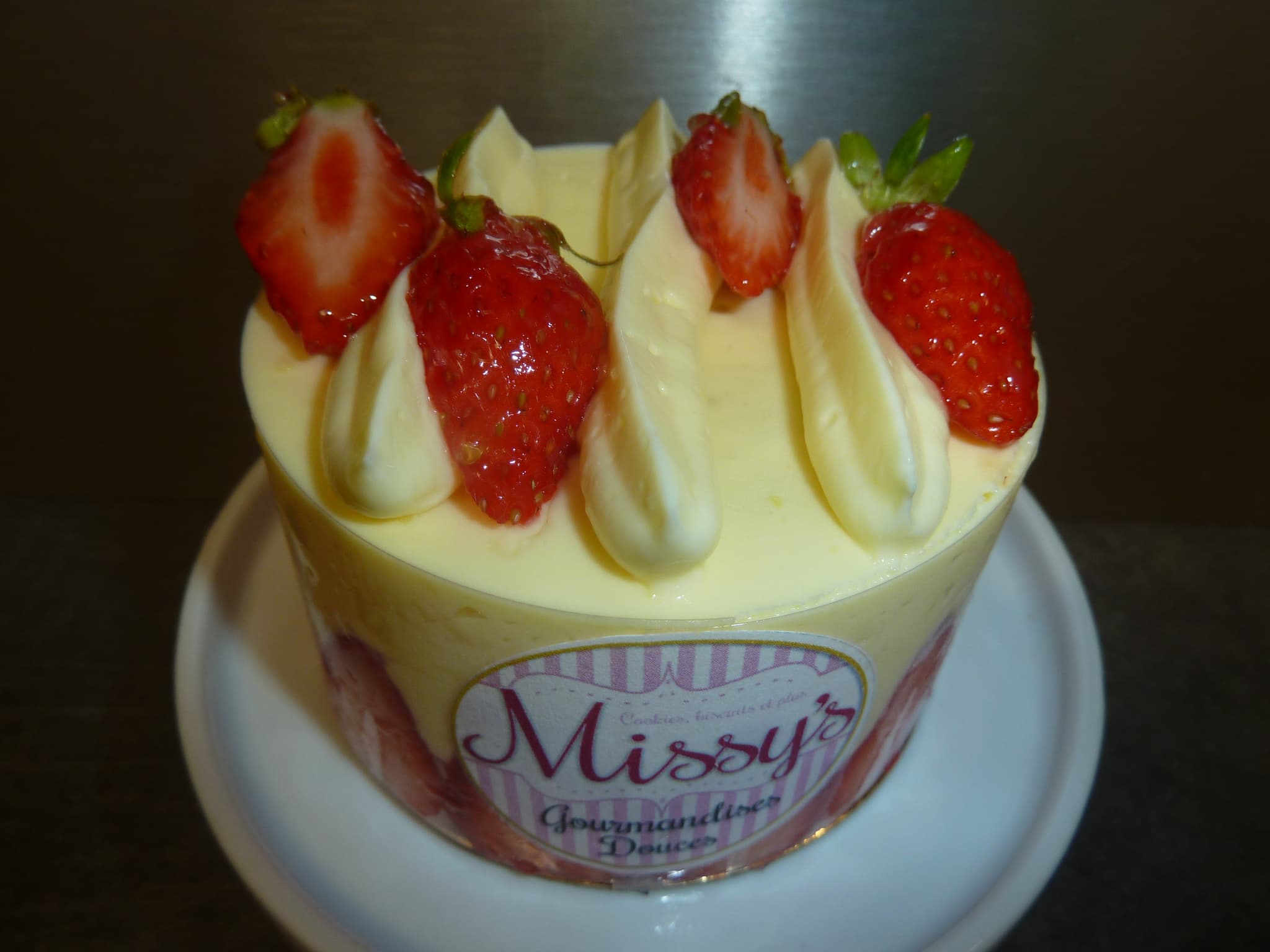 fraisier 01