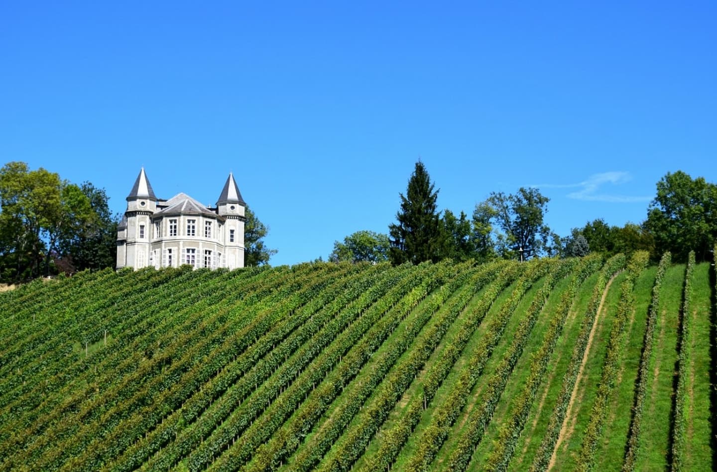 Bizanos - les hauteurs de Franqueville - en bas des vignes