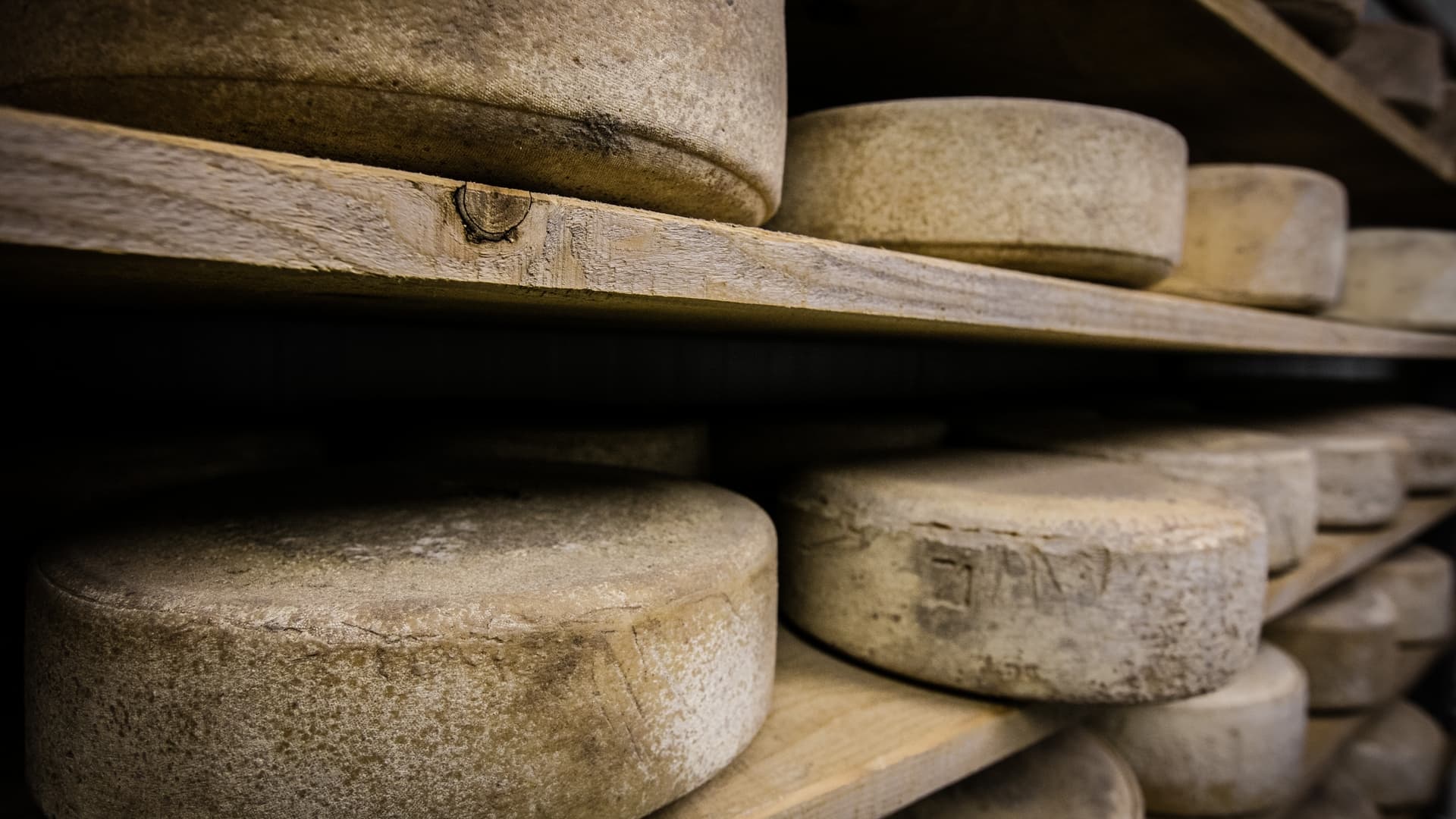 fromages au sechage pierre carton