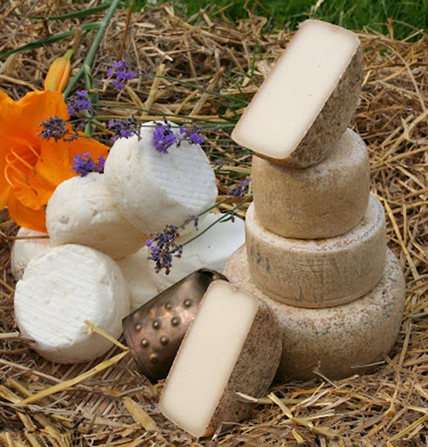 fromage[1]