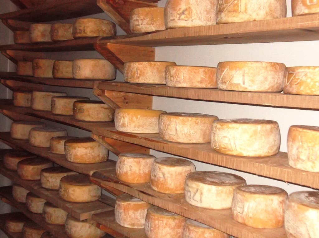 Fromage Brebis