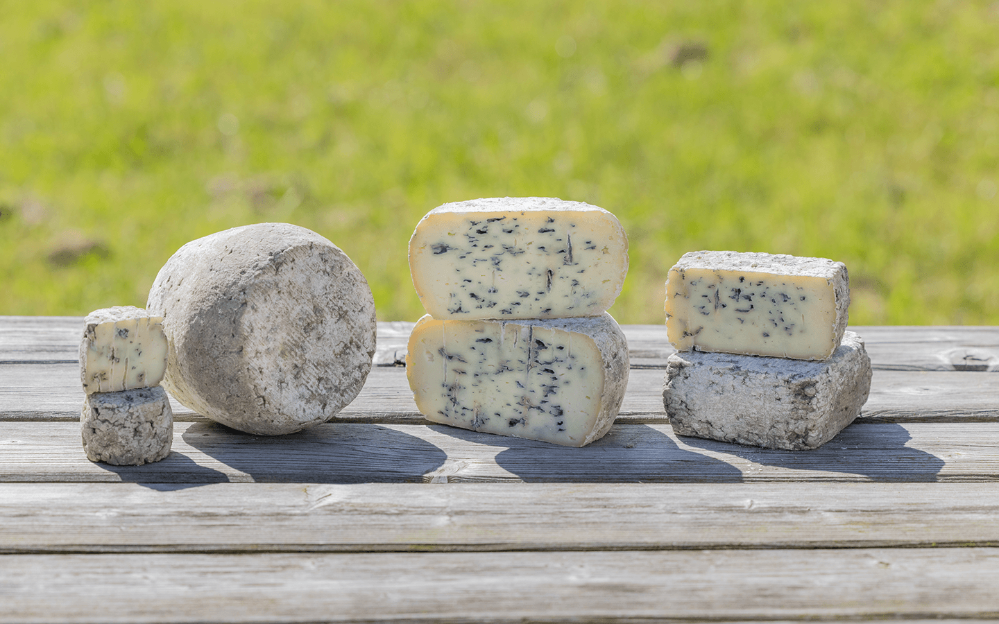 fromage-carolpro