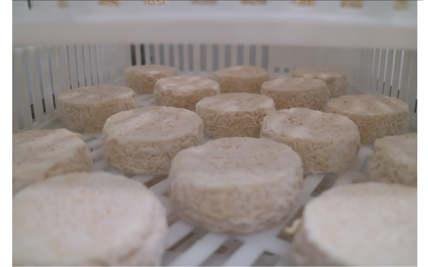 fromages