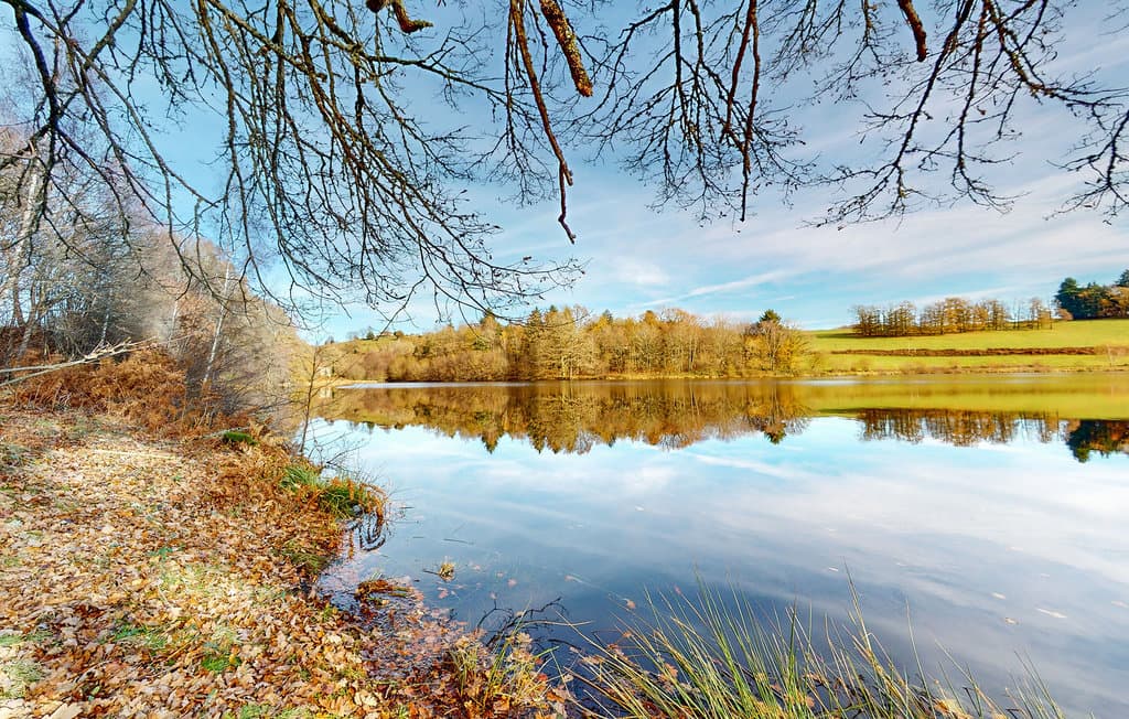 Etang privé - Gites les 3 étangs