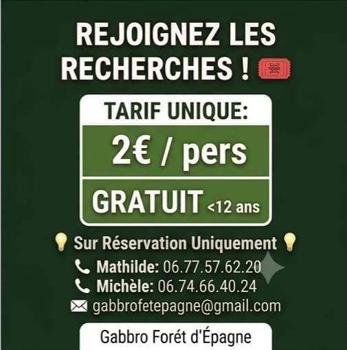 gabbro 4