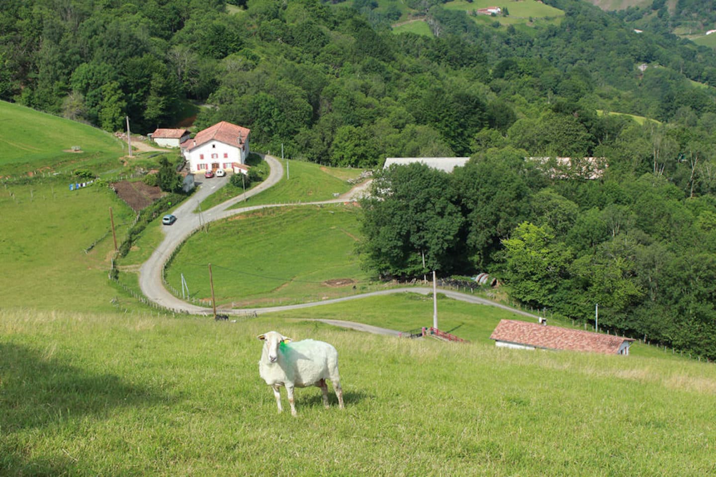 gaec ohako vue banca