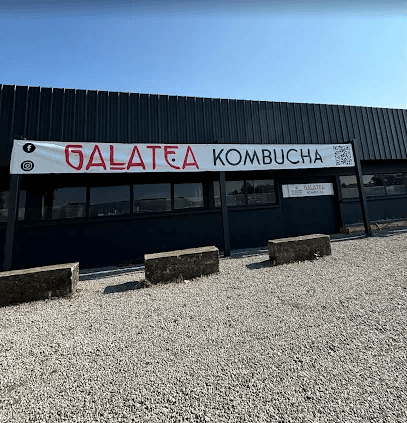 Galatea kombucha