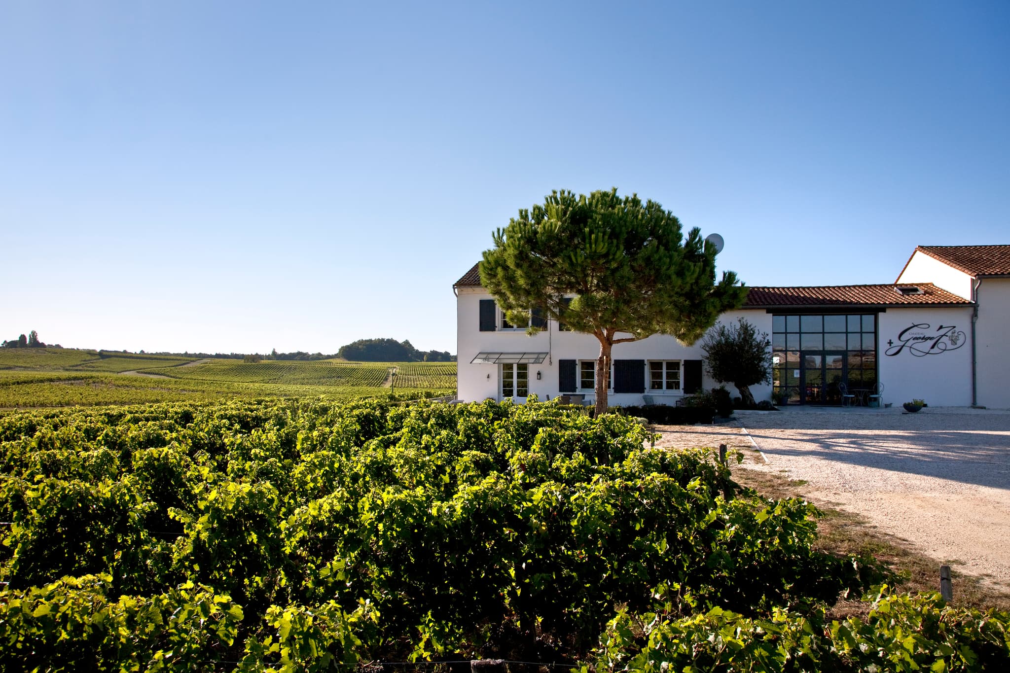 CHATEAU GEORGE7, AOC FRONSAC, VIGNOBLE DE BORDEAUX, GIRONDE.
