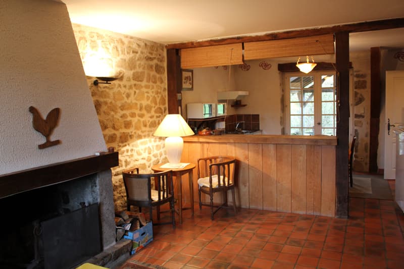 gite 1 salon bis