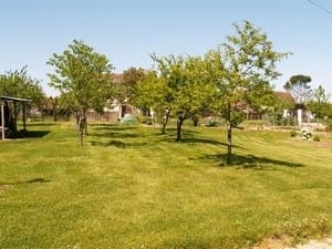 Le parc arboré