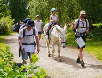 Ferme pédagogique Les Anes de Vassivière