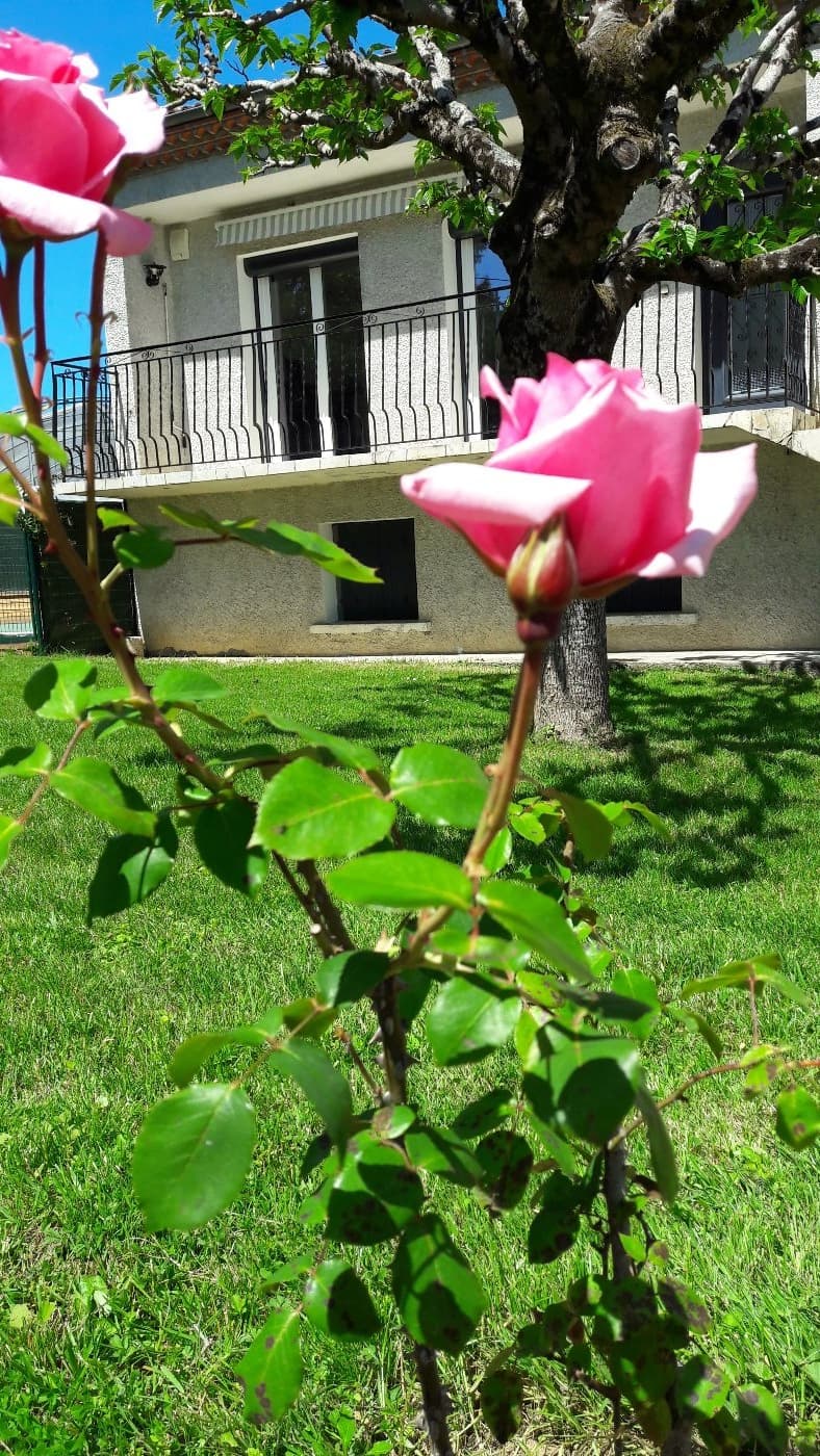 gite avec rose