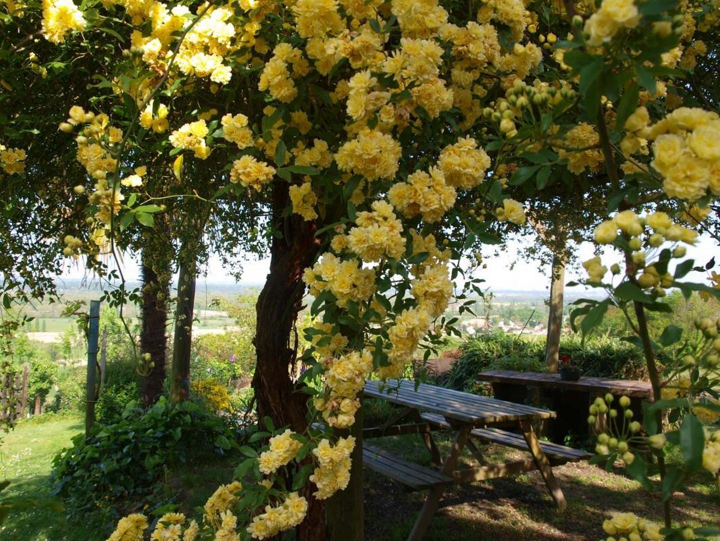 Gîte biscar - Arbus - jardin