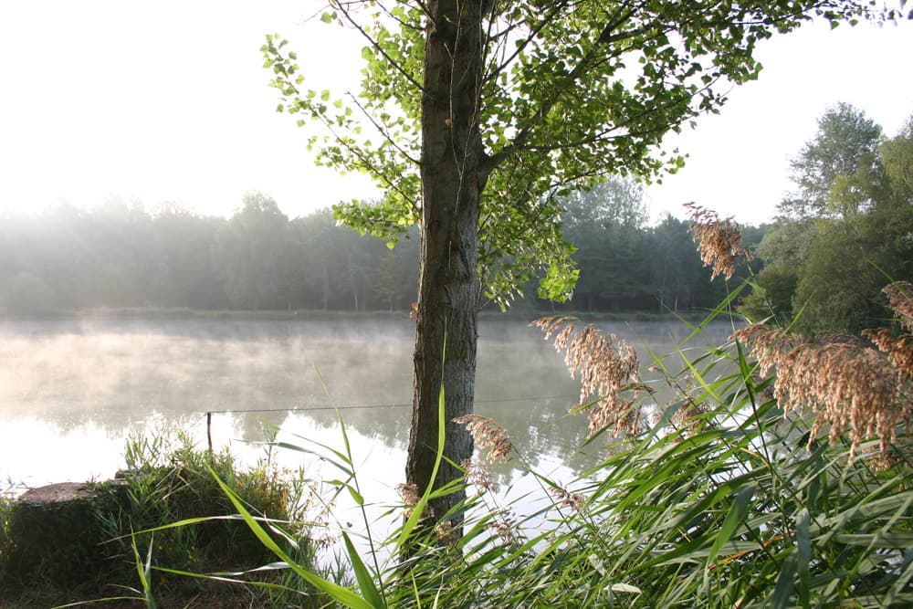 Etang de pêche communal_4