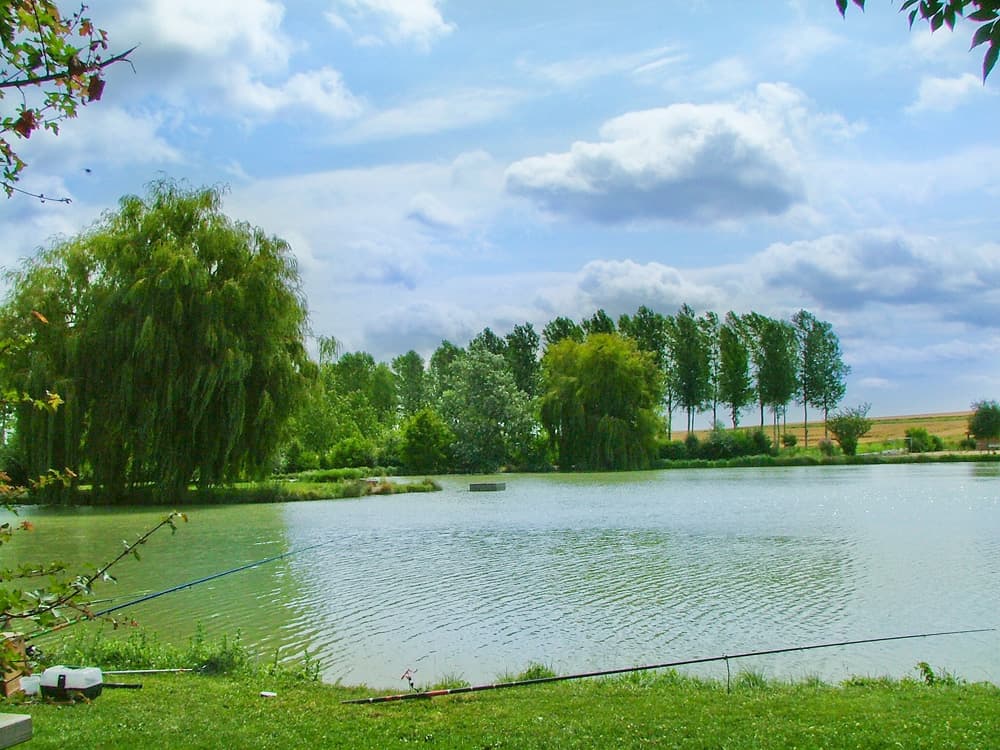 Etang de pêche communal_5
