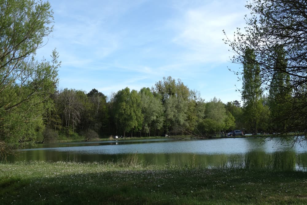 Etang de pêche communal_7