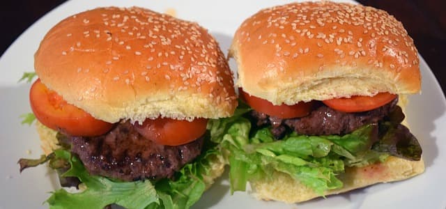 hamburgers-1333518_640