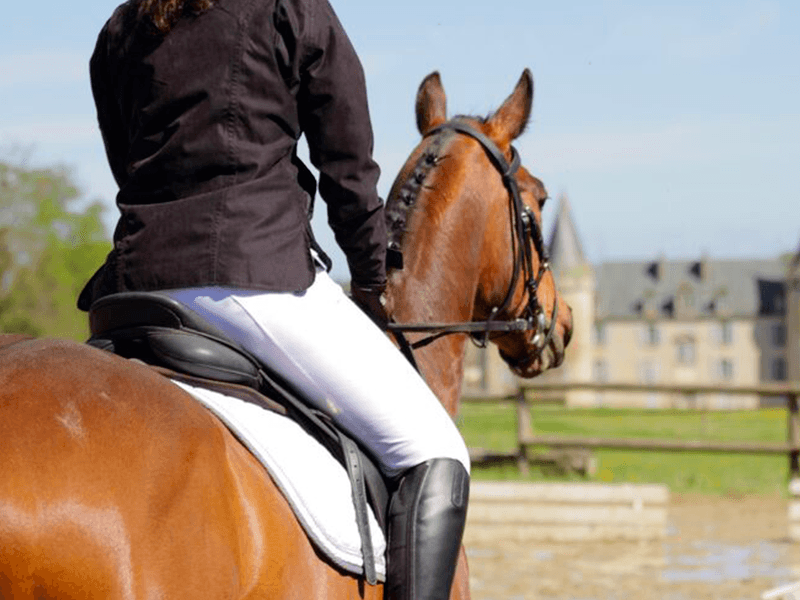 haras-du-parc-nexon