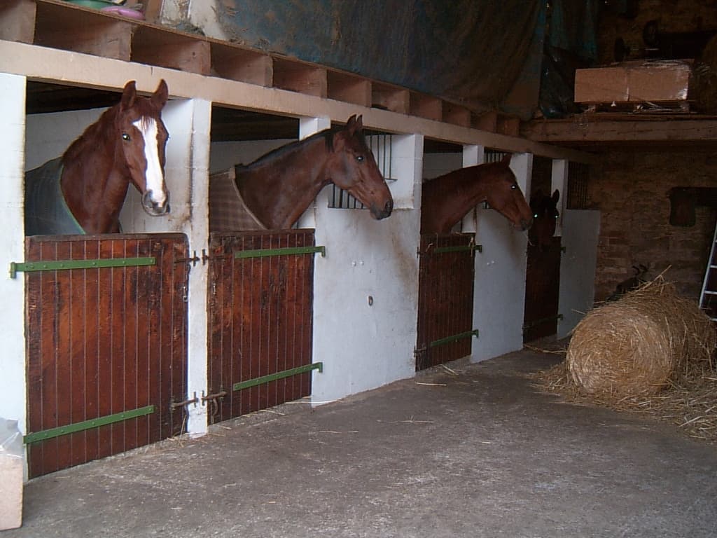 haras de royer