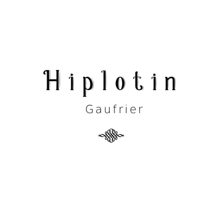 hiplotin gaufre hendaye fait maison