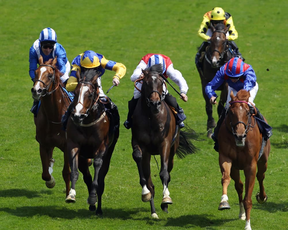 hippodrome