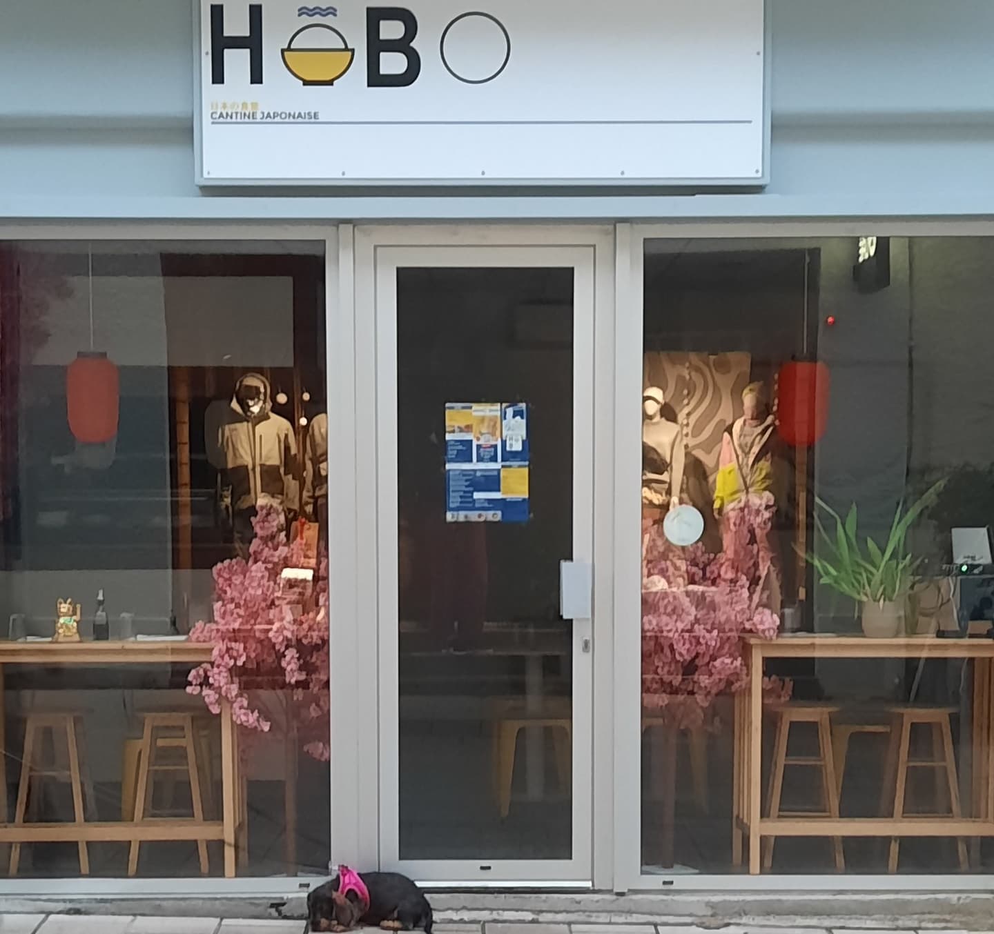 Restaurant Hobo - Pau - entrée