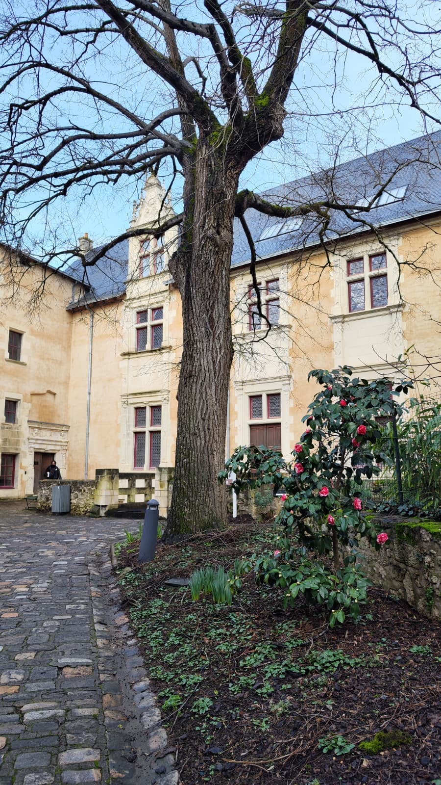 hôtel berthelot poitiers (1)