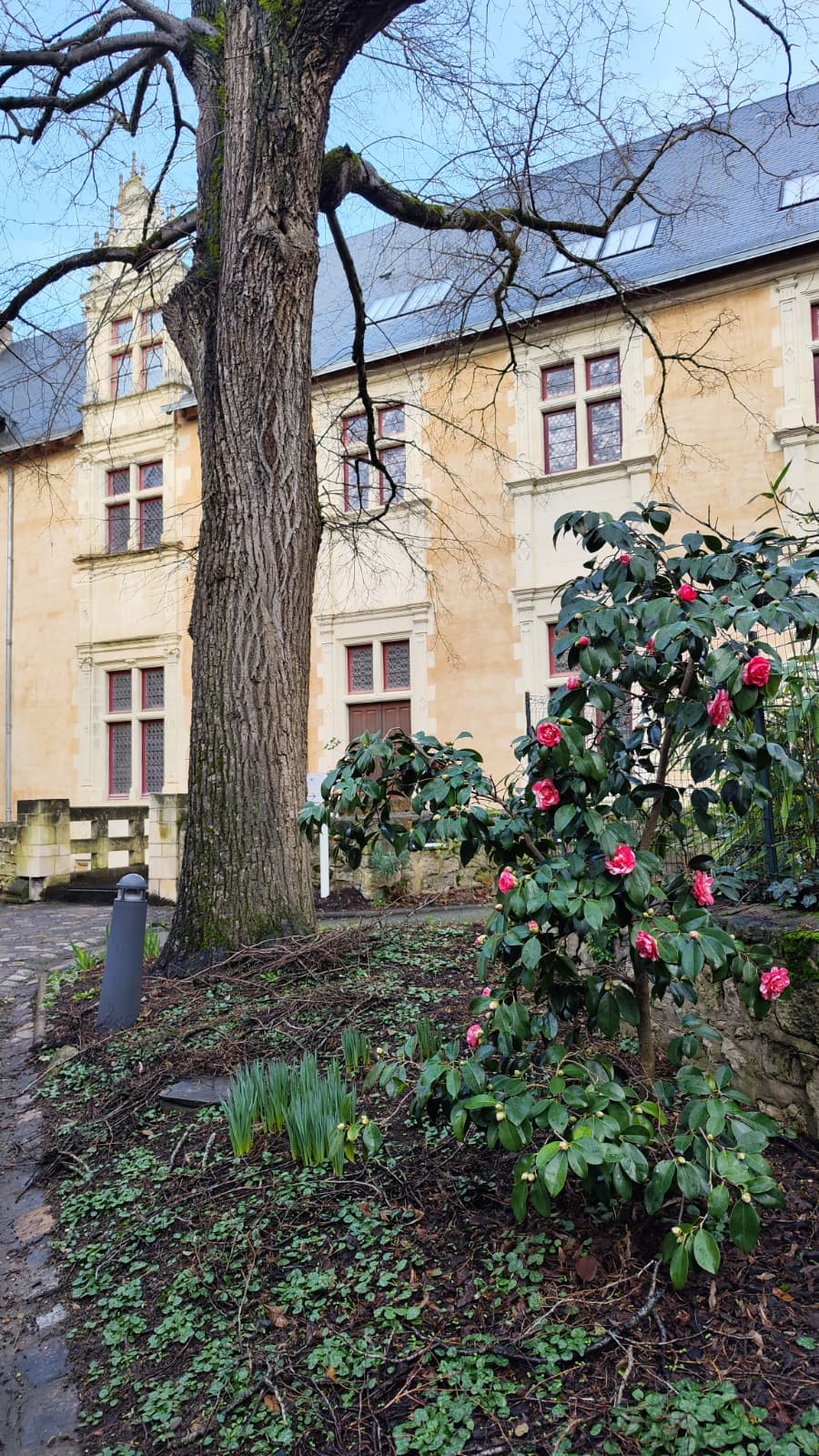 hôtel berthelot poitiers (2)