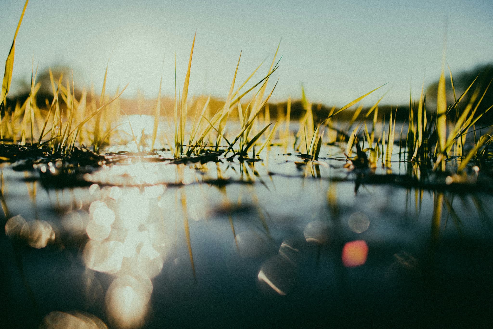 ihnatsi-yfull-3zQhNCkyGQs-unsplash