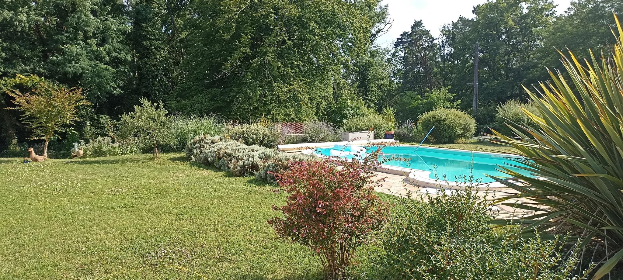 Tranquilou avec piscine proche de Sarlat_2
