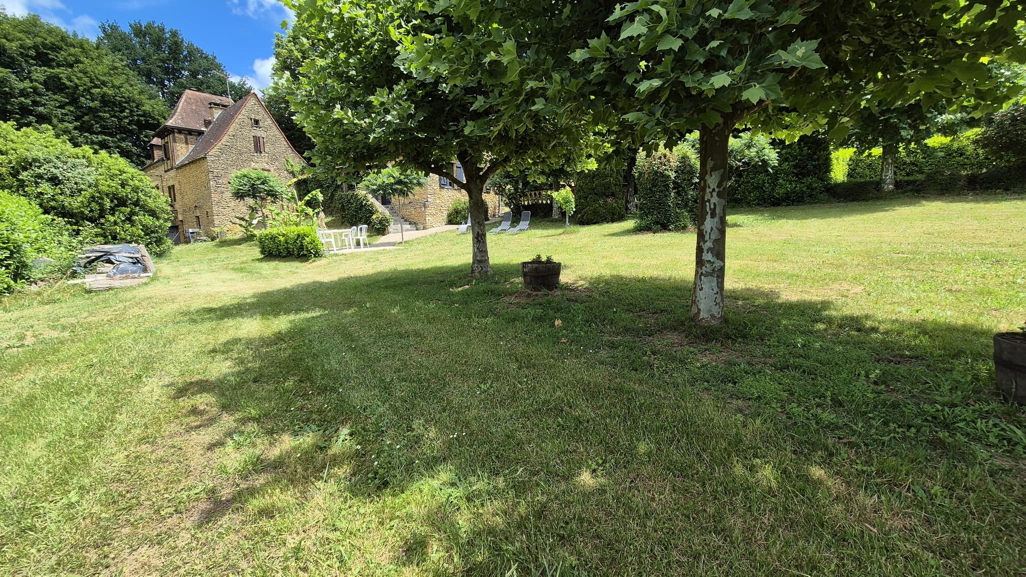 Les Platanes à Sarlat_15