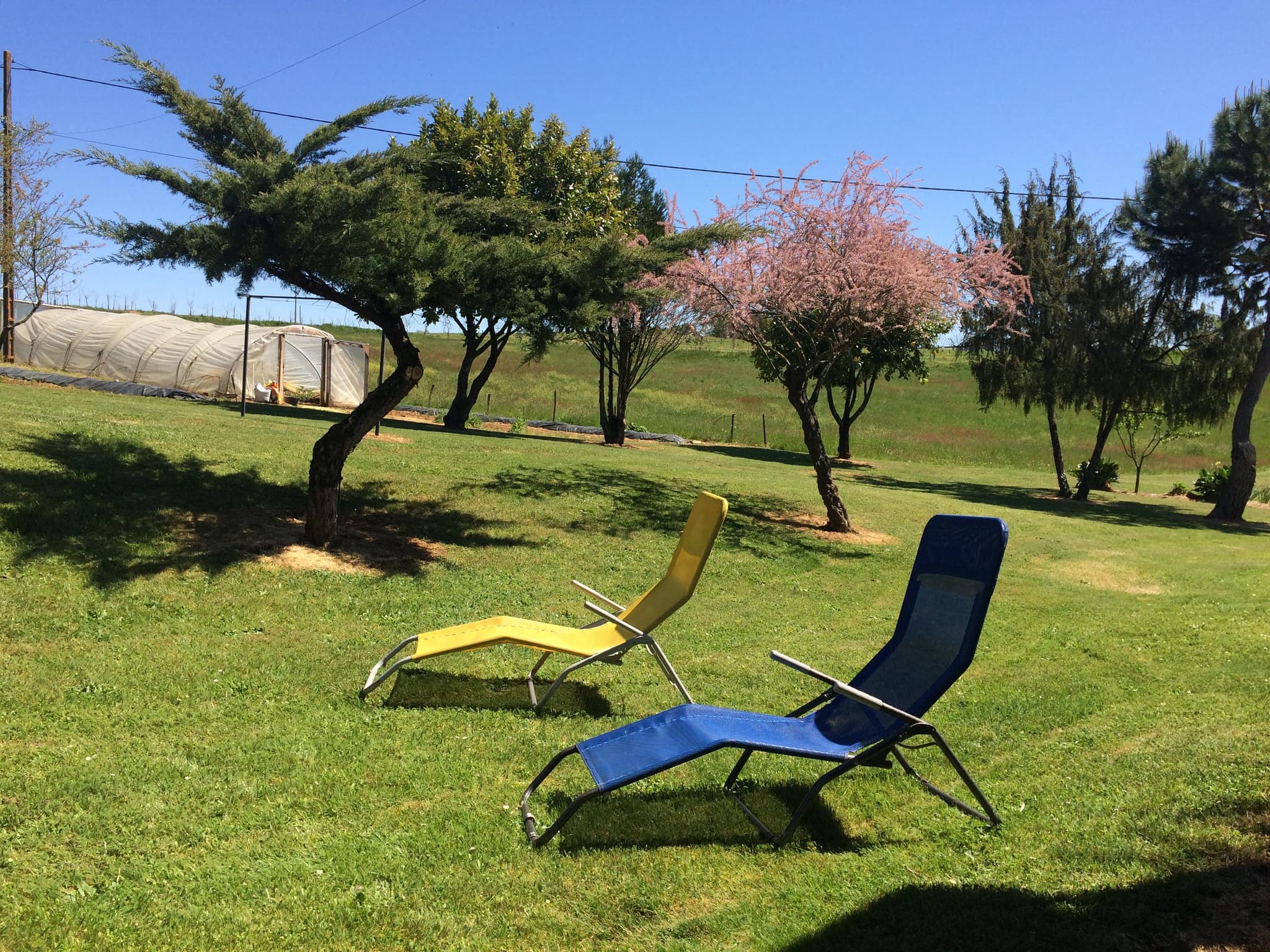 Lapervoisie 1 jardin piscine et proche de Sarlat_16