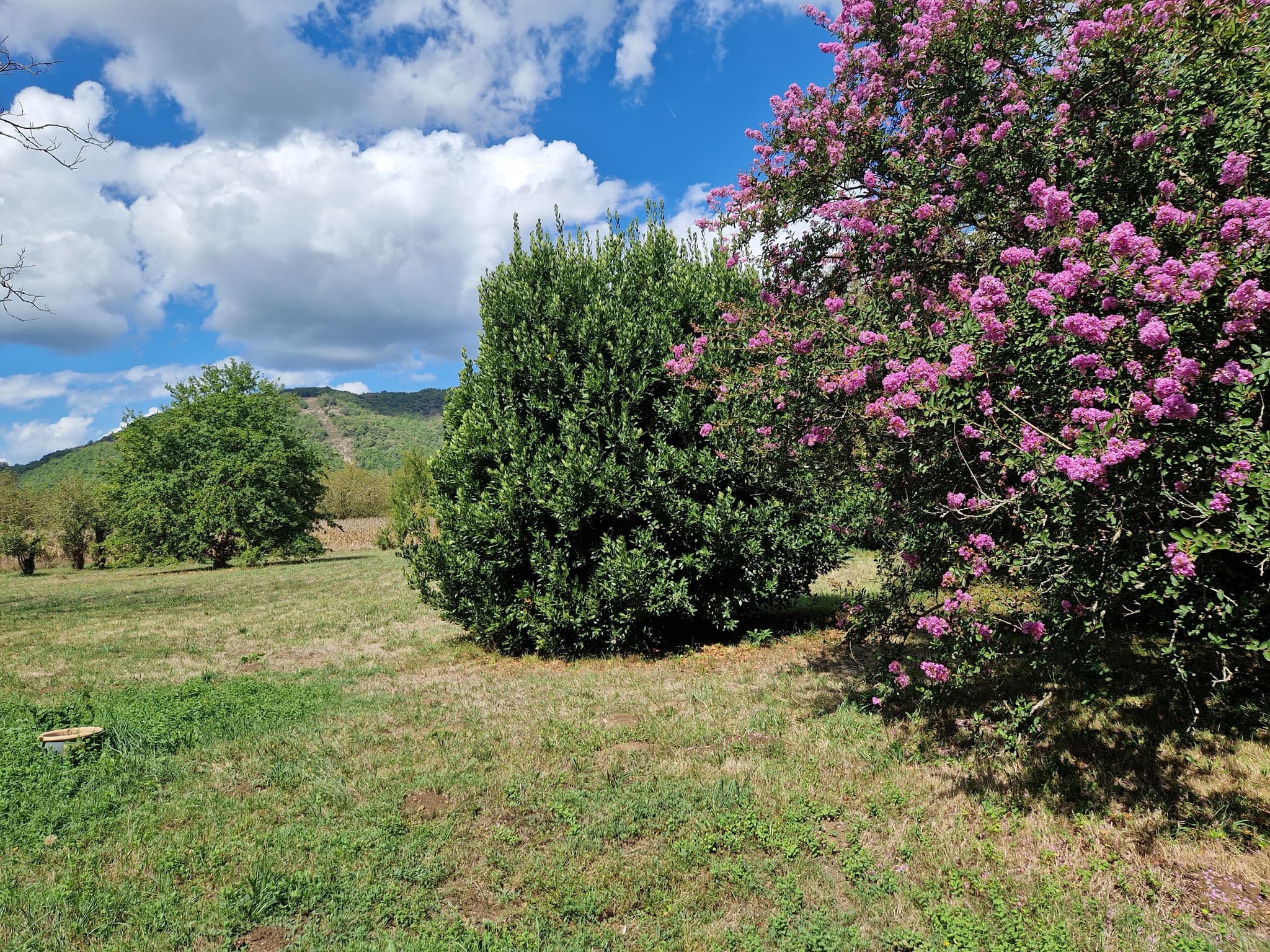 Domaine le Bouriage proche de Sarlat_5