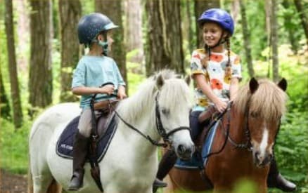 image poney