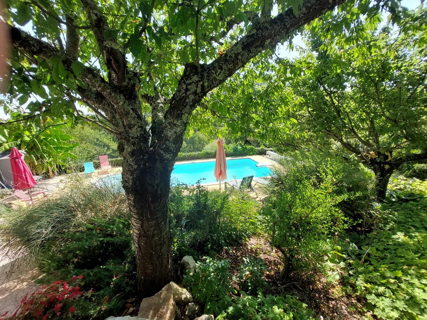 Le Bouscandier avec piscine privée proche Sarlat_8
