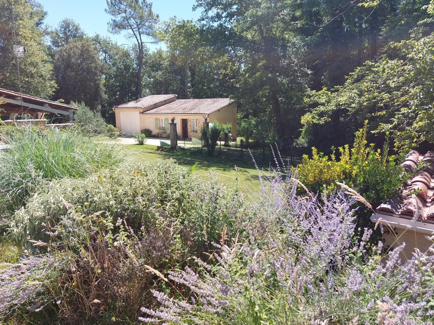 Tranquilou avec piscine proche de Sarlat_10