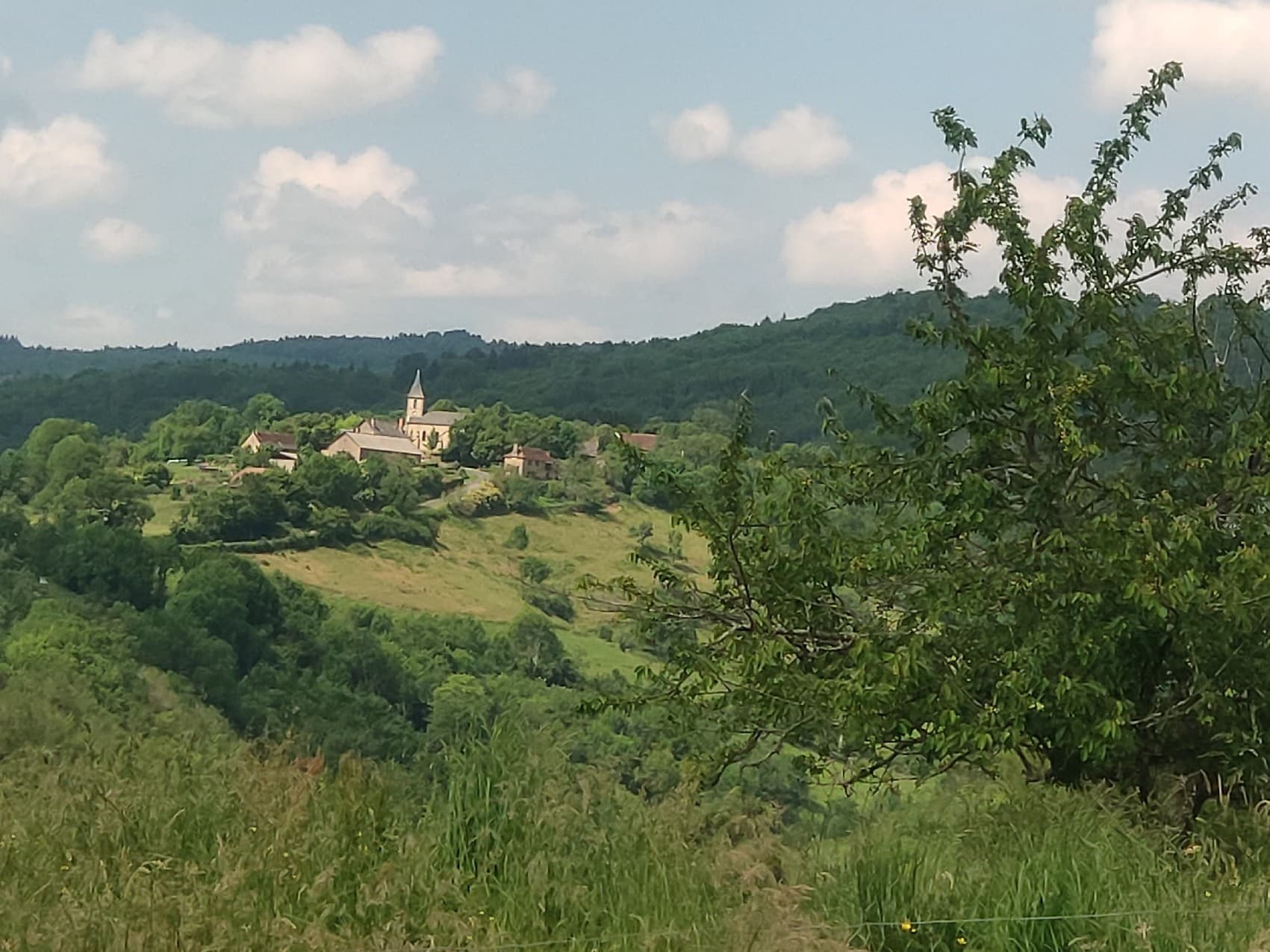 point de vue_9