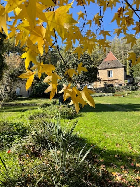 LES OCELLES DE SARLAT 1