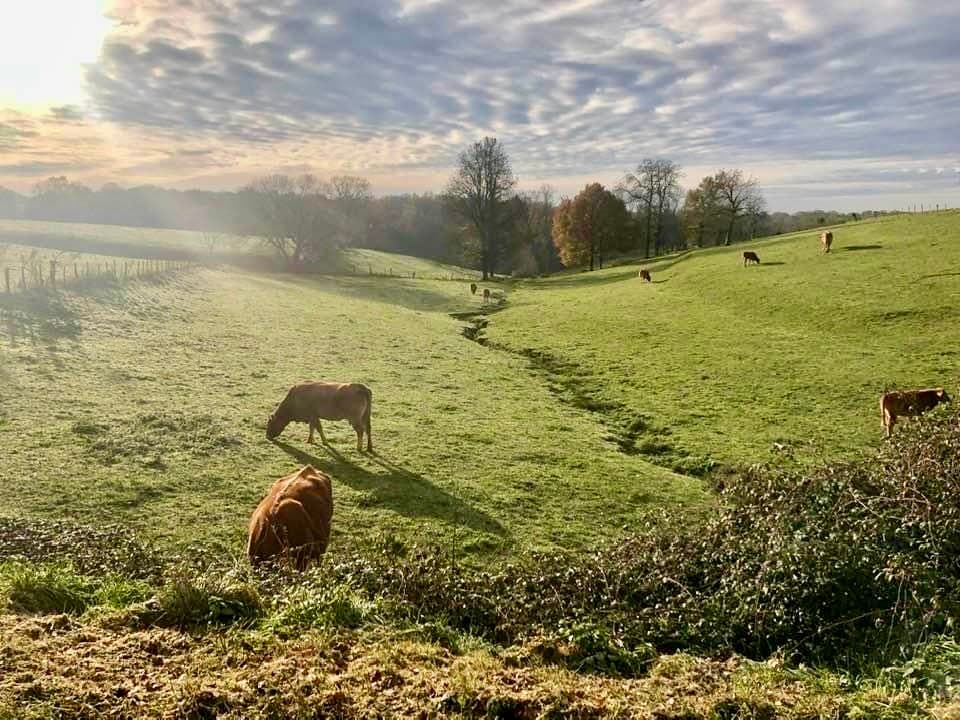 Campagne