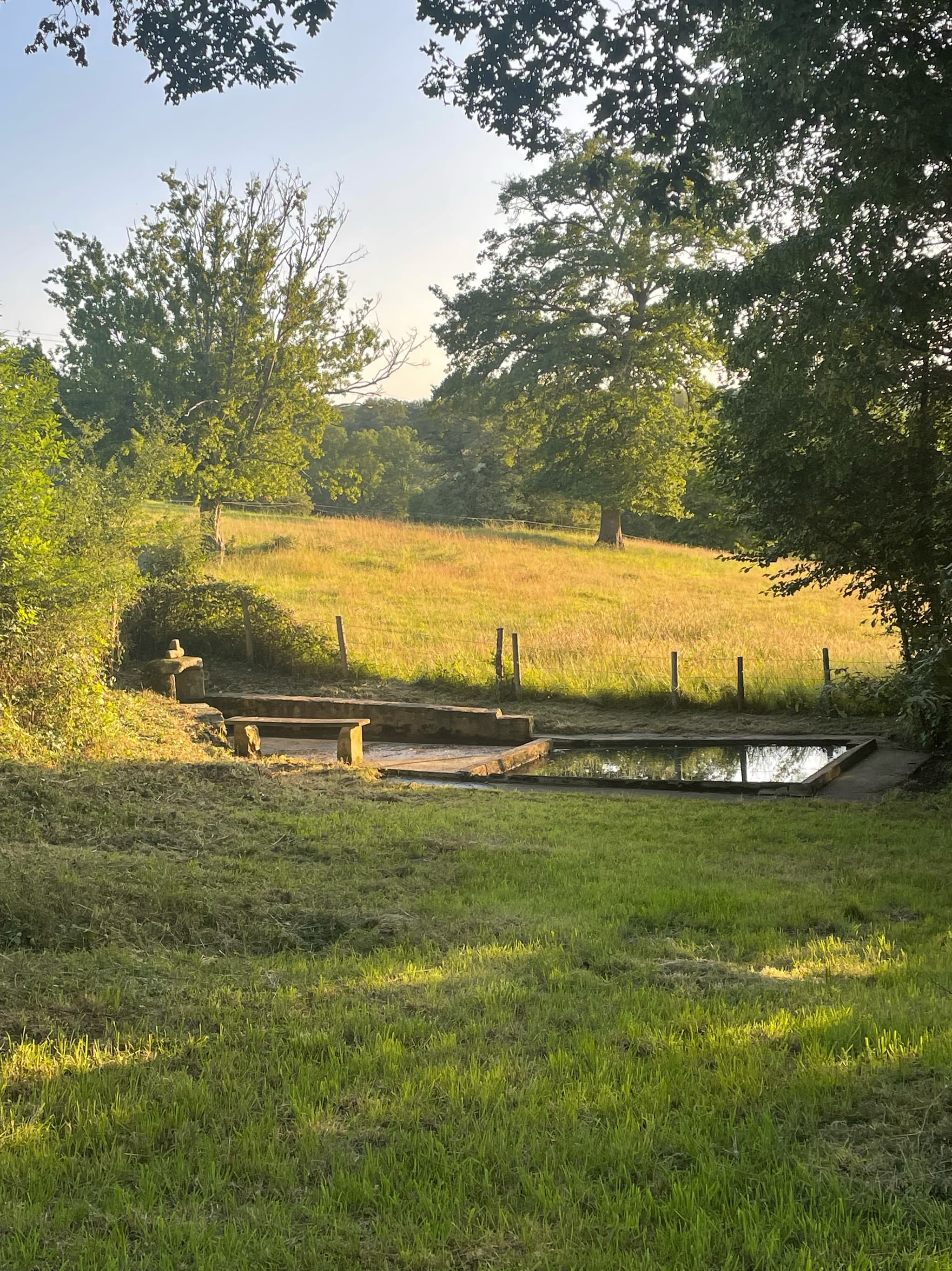 image3 (1)