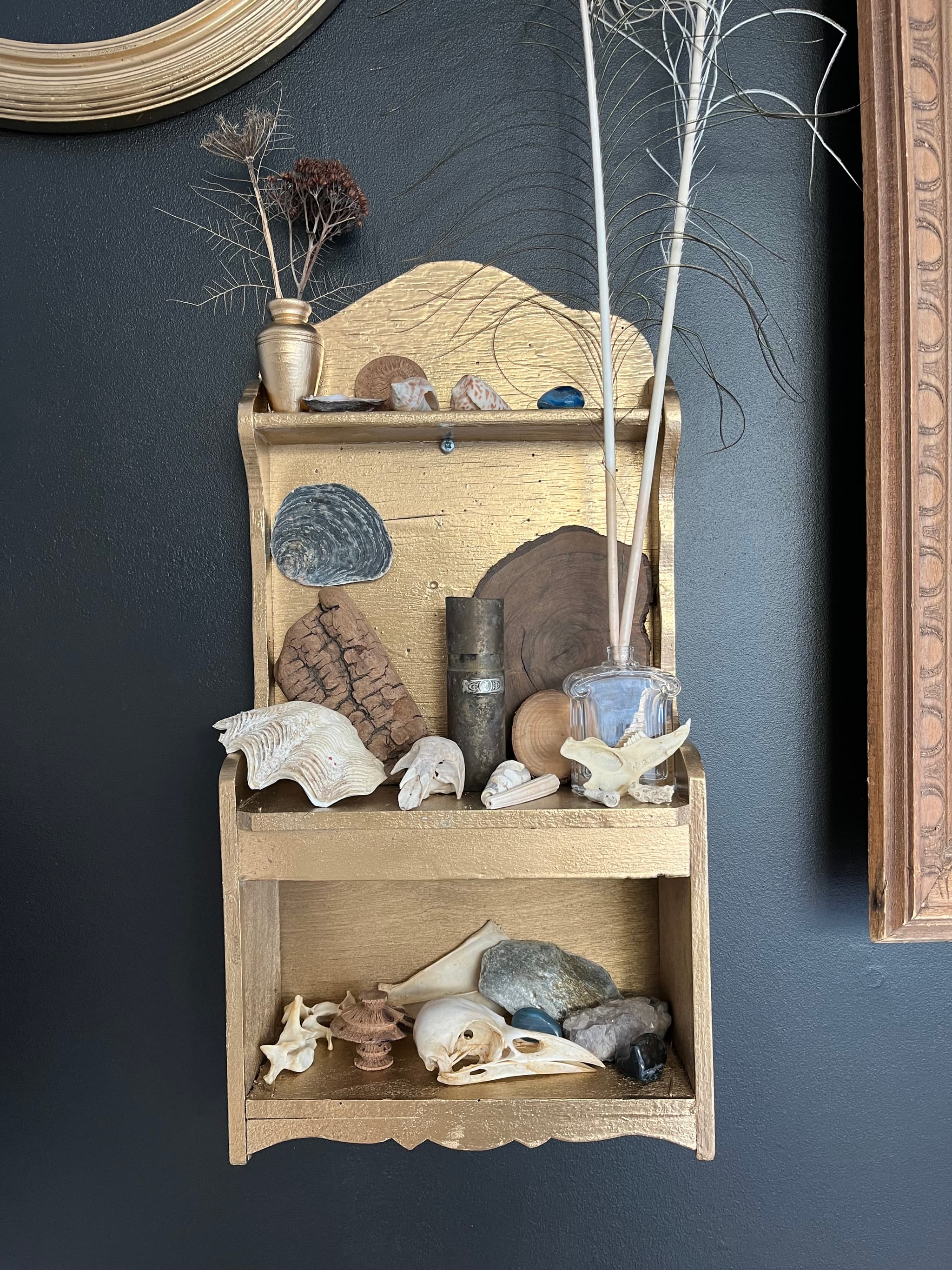 Cabinet de curiosités