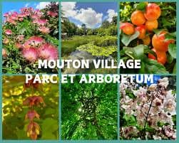 Arboretum
