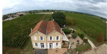 Les marronniers