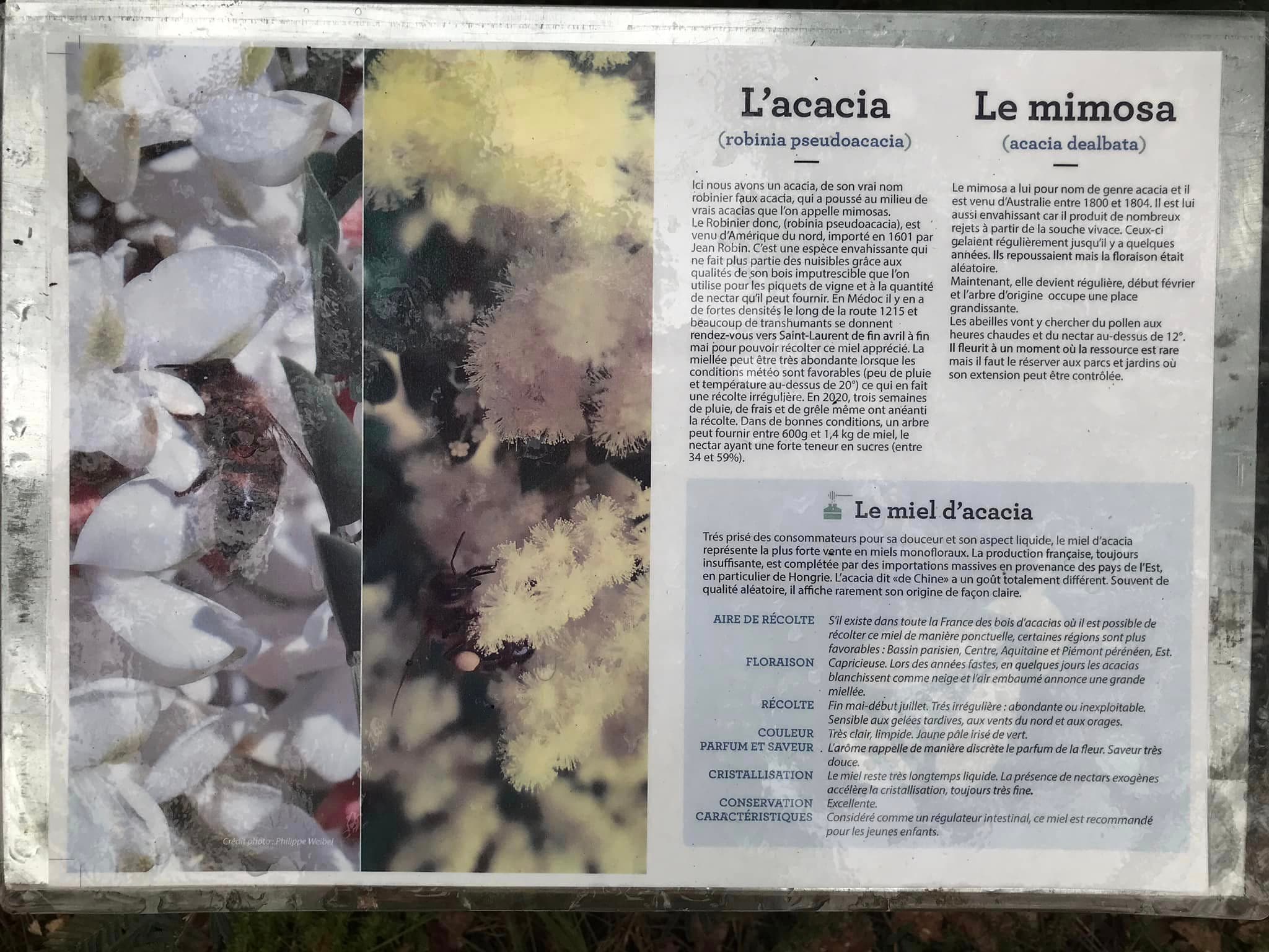 info2