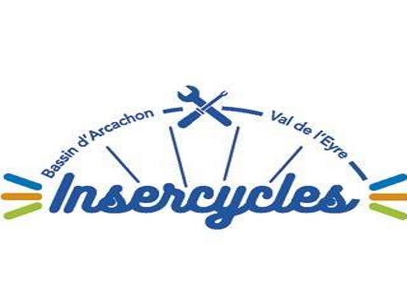 ins c logo redi