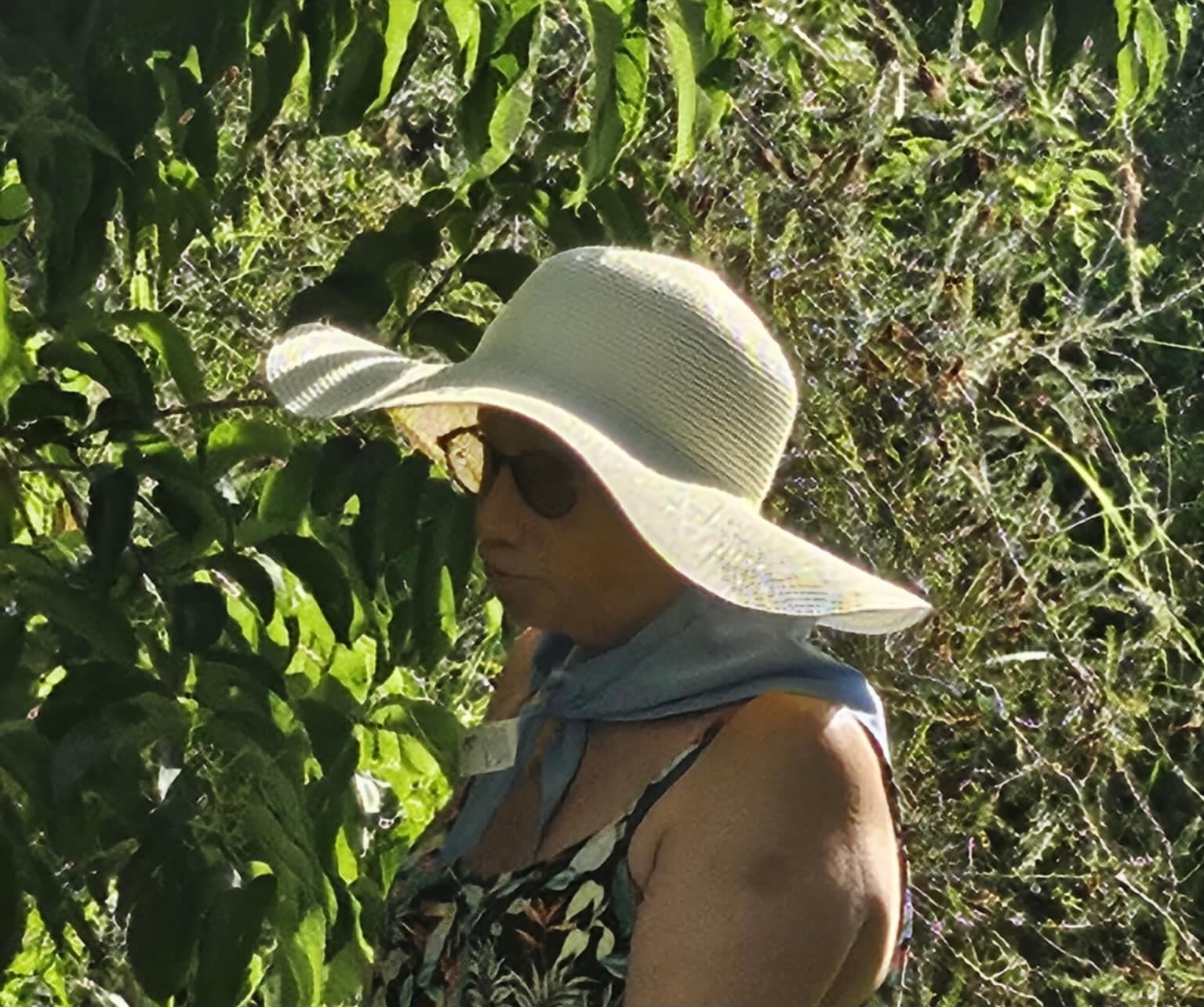 isidra vicente
